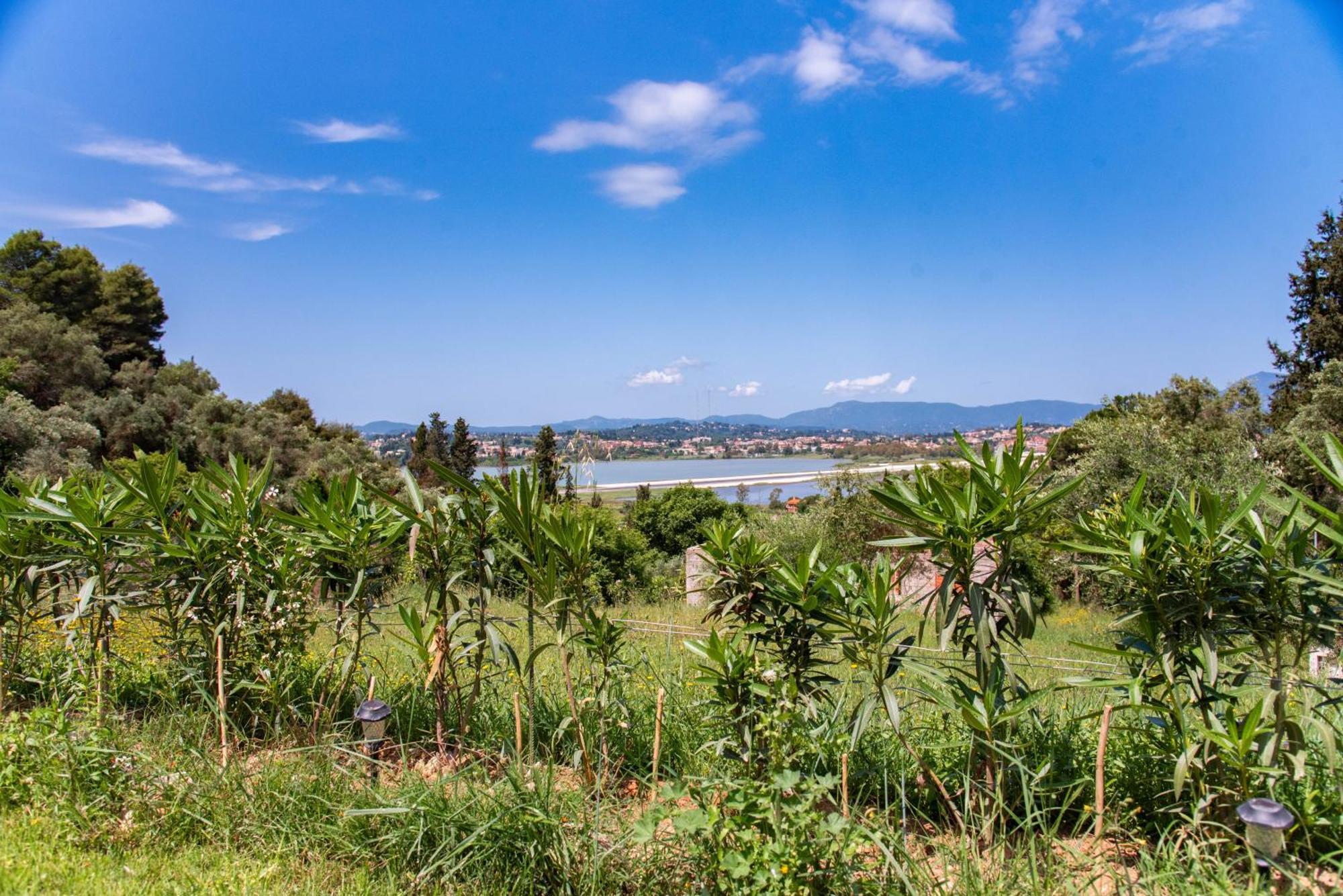 Gems Suites Corfu  Exterior foto